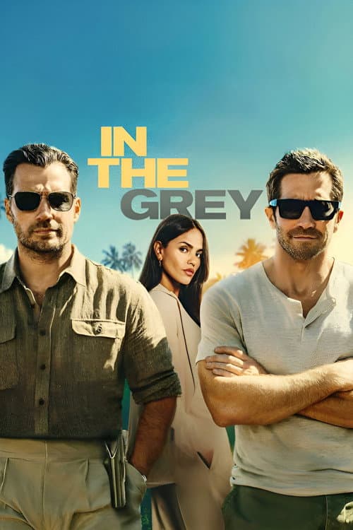 Poster of In the Grey