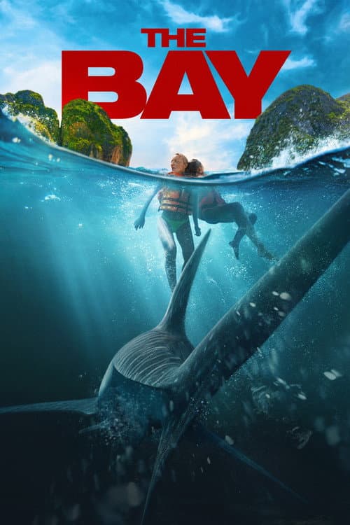 Poster of The Bay