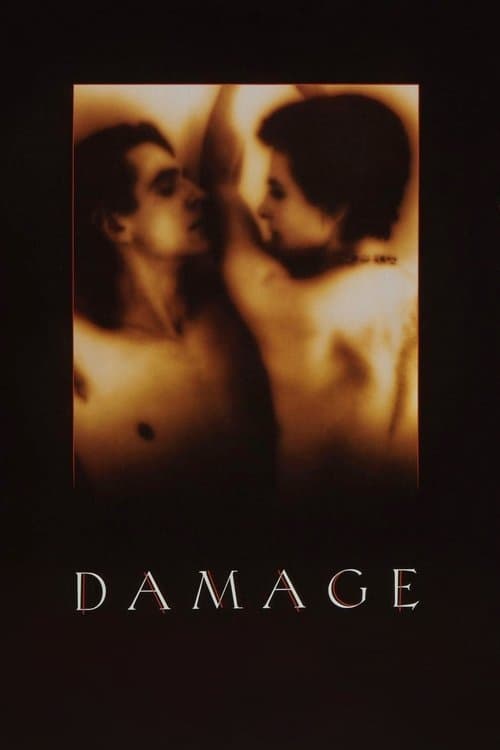 Poster of Damage