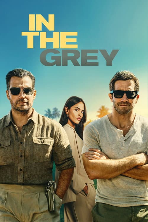 Poster of In the Grey