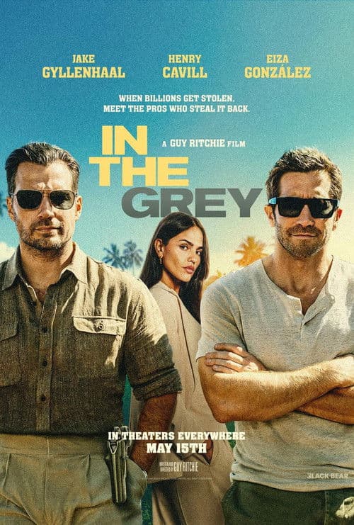Poster of In the Grey
