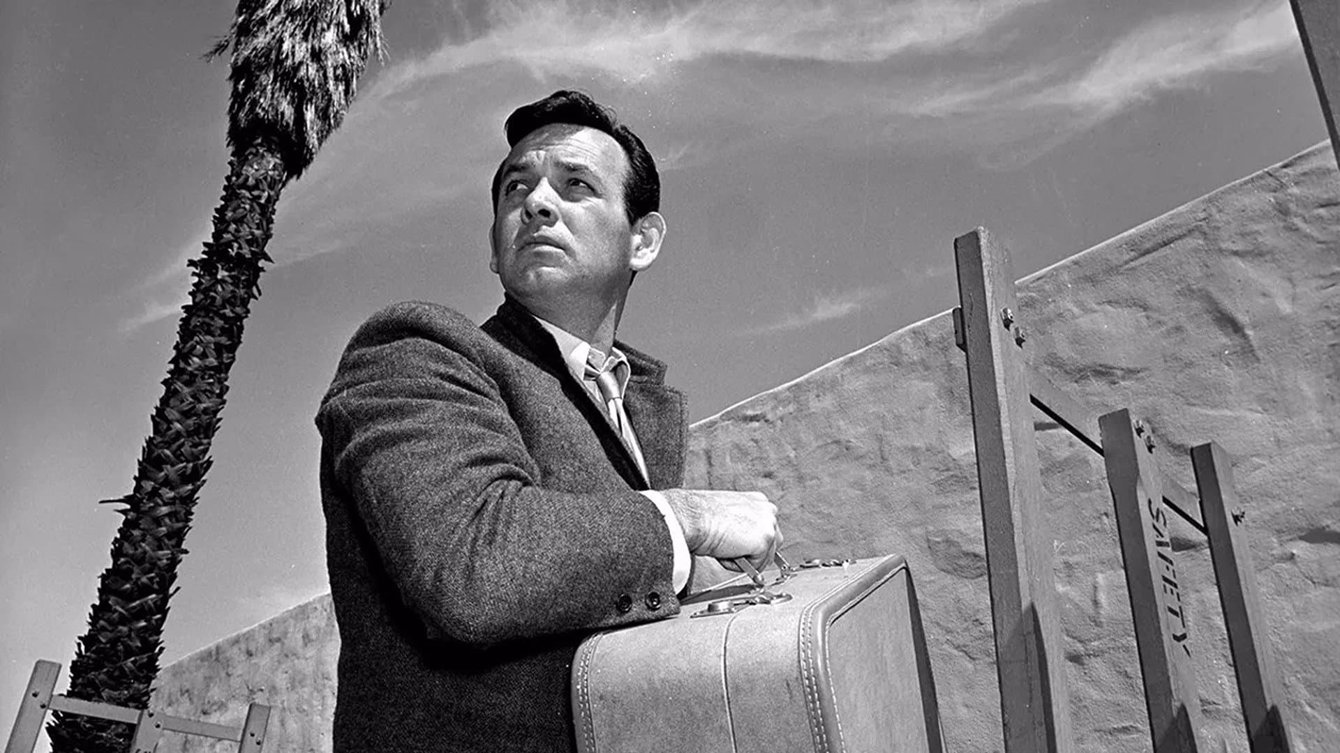 Poster of The Fugitive